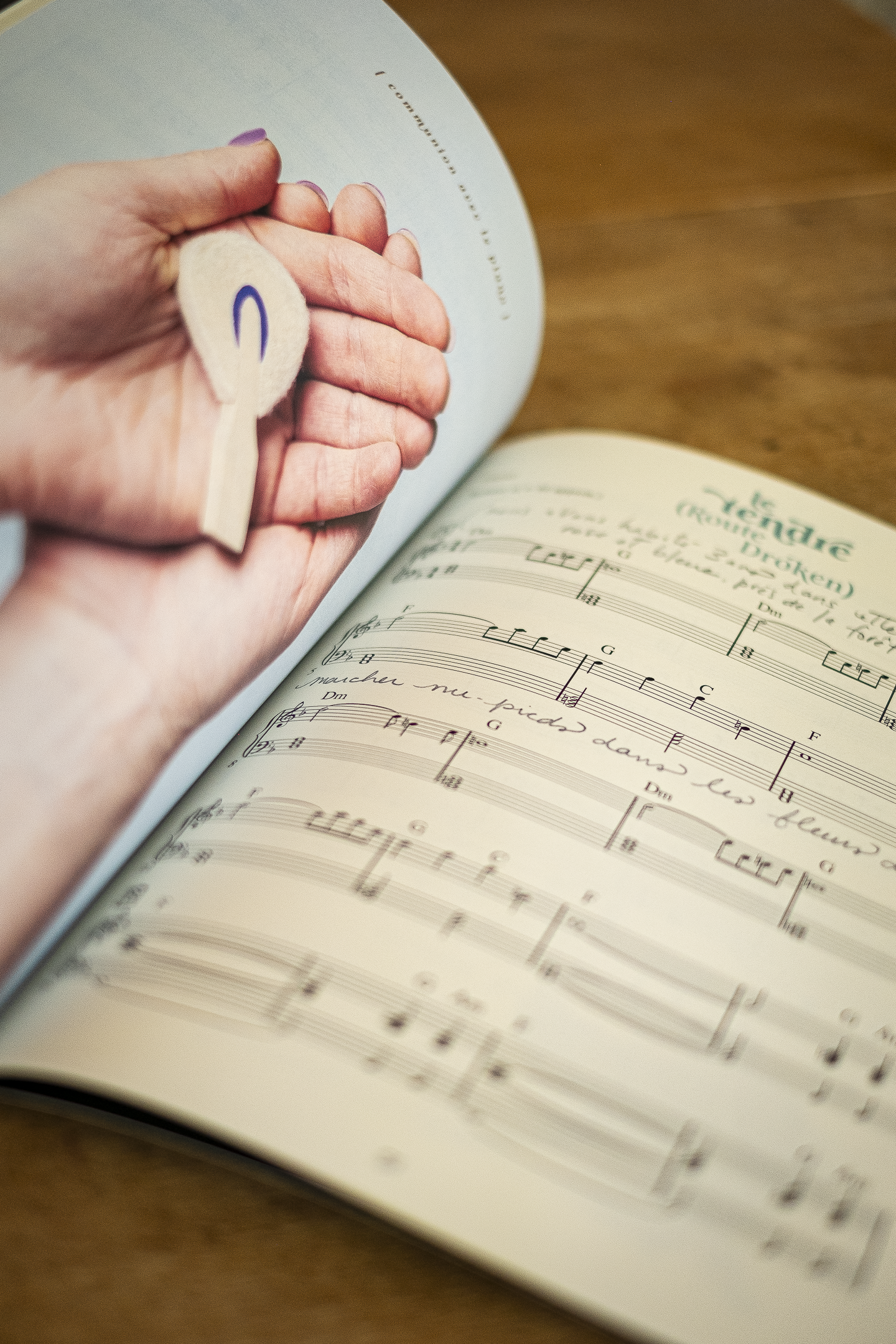 Cahier de partitions - Le piano et le torrent